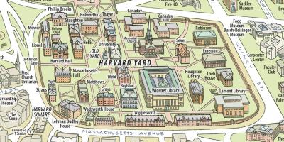 Карта Гарвардського університету